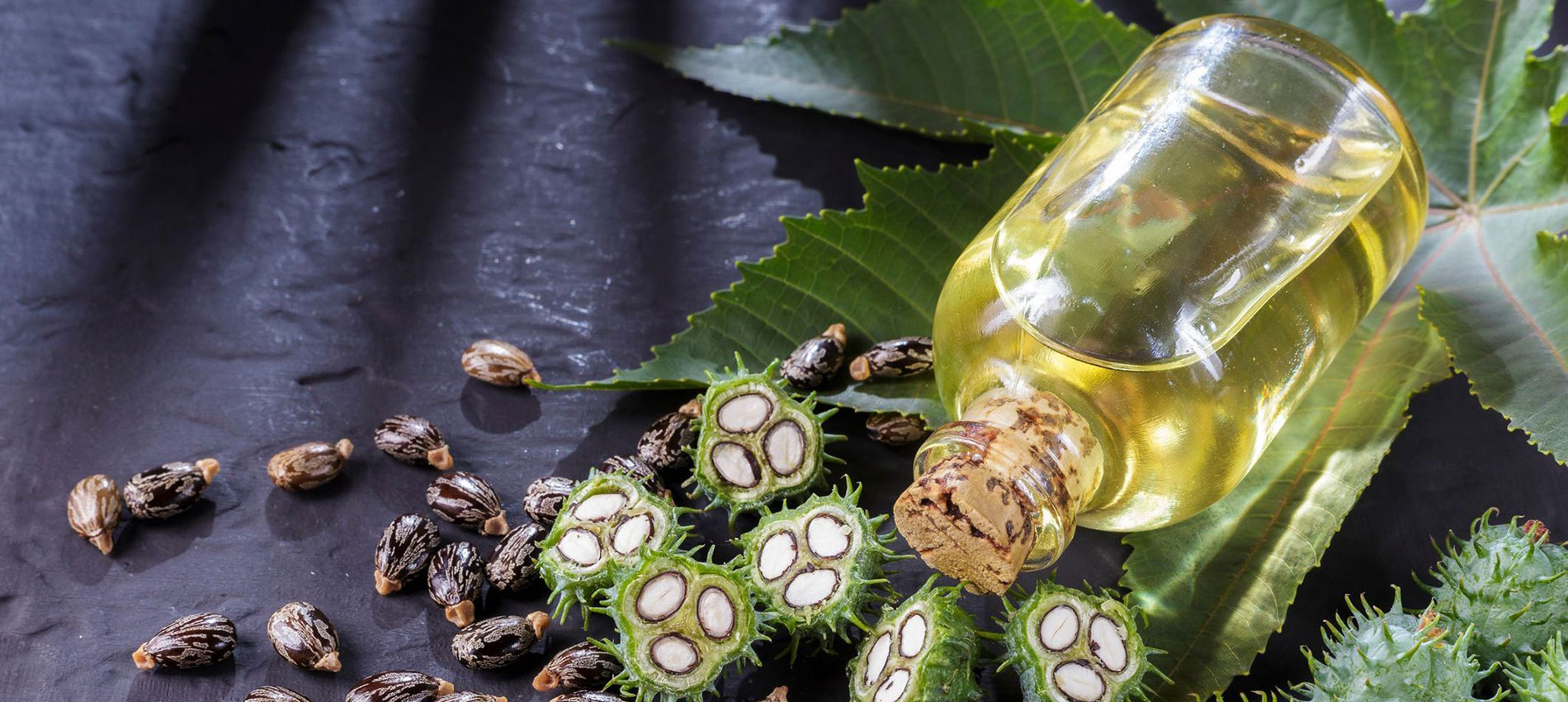Castor Oil For Hair Growth: Is It Effective?