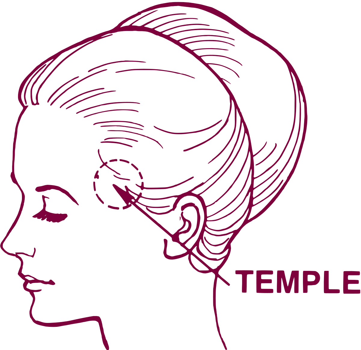 temple-point-hair-transplant-icon