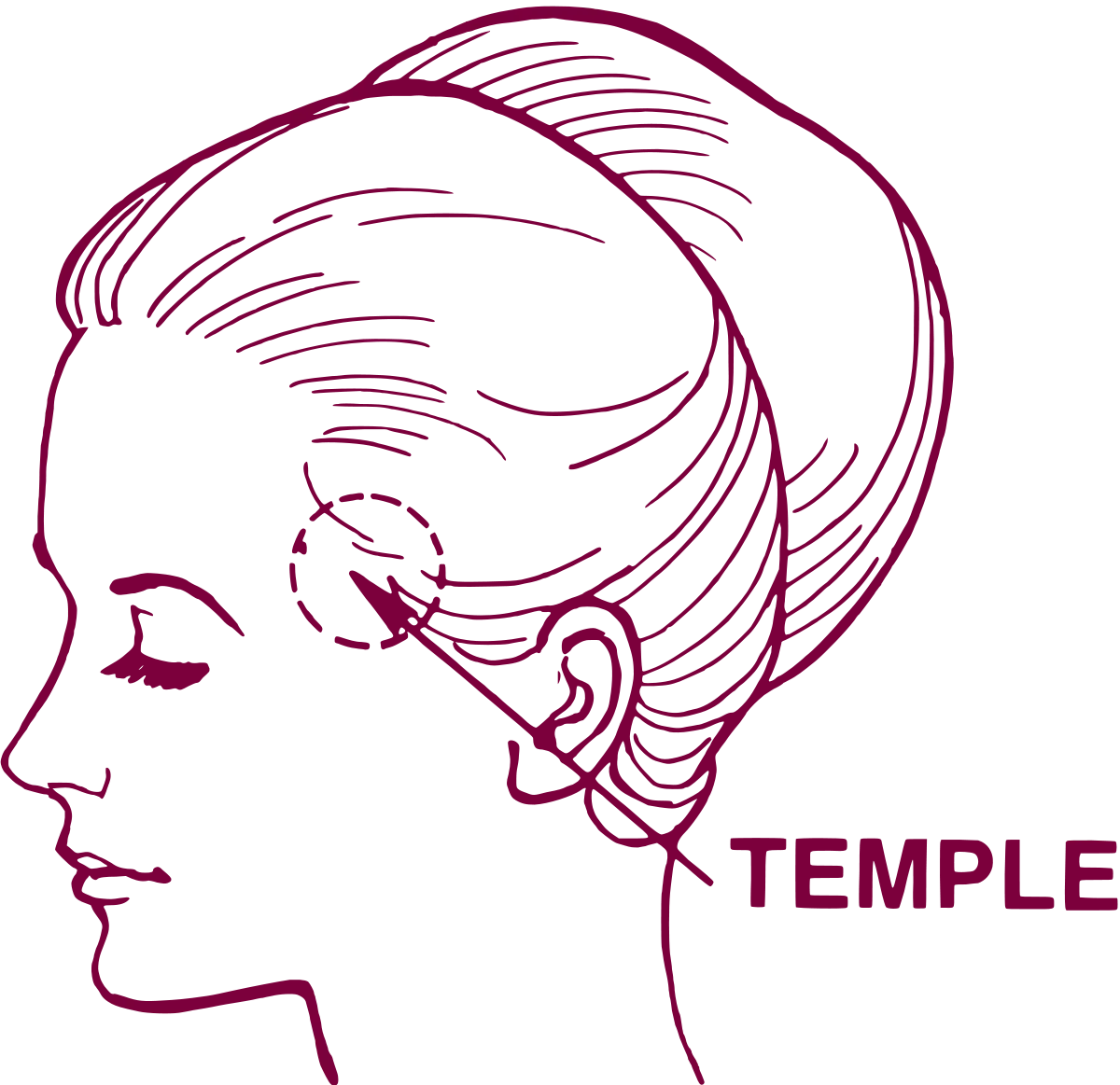 temple-point-hair-transplant-icon