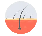 hair-transplant-icon-concept-nns