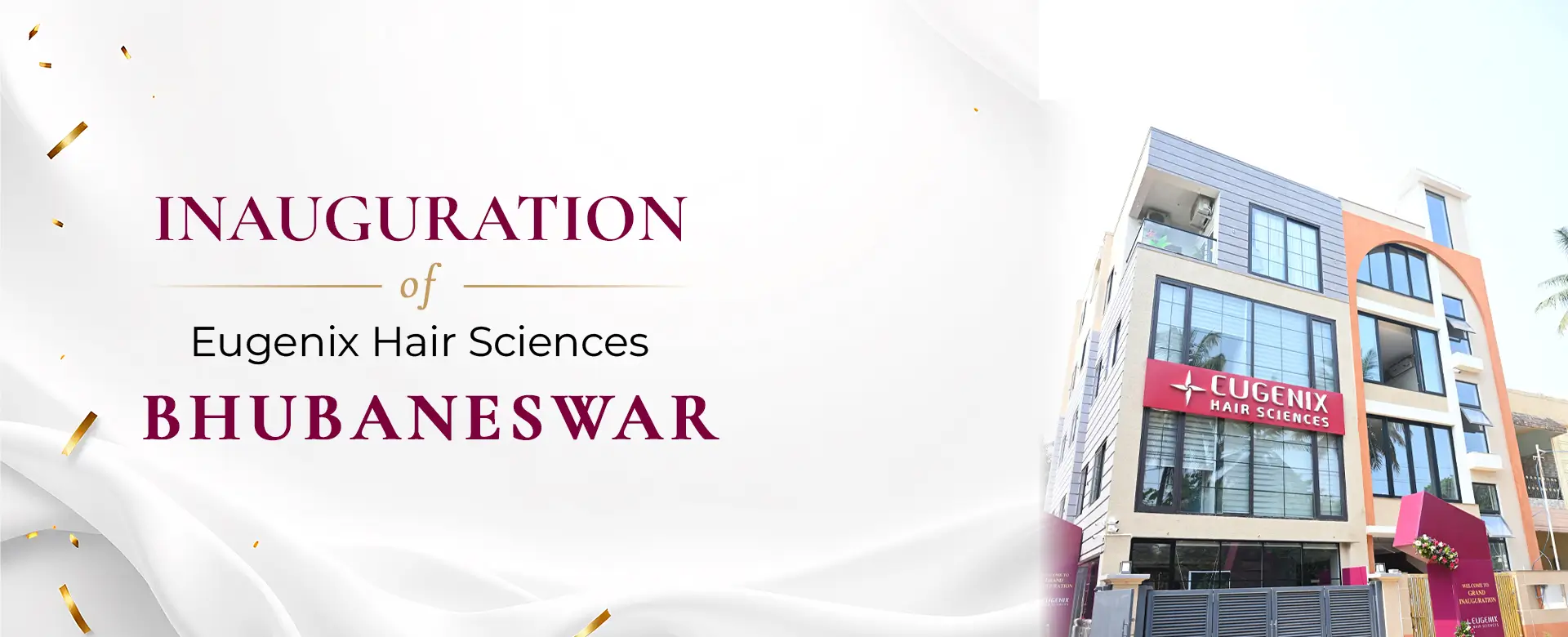 Website homepage (7)